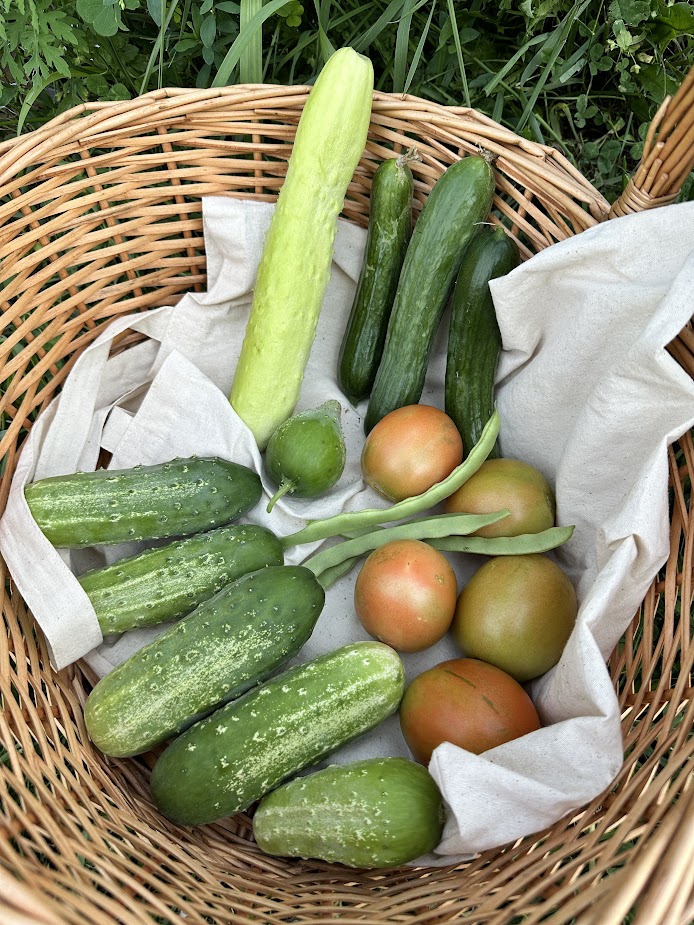 At Home (Our Garden) 3