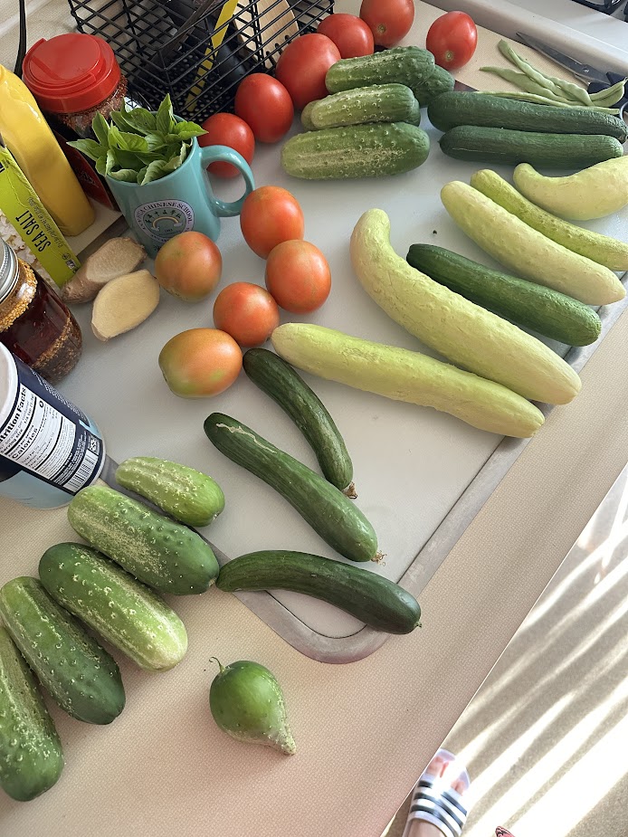 At Home (Our Garden) 4