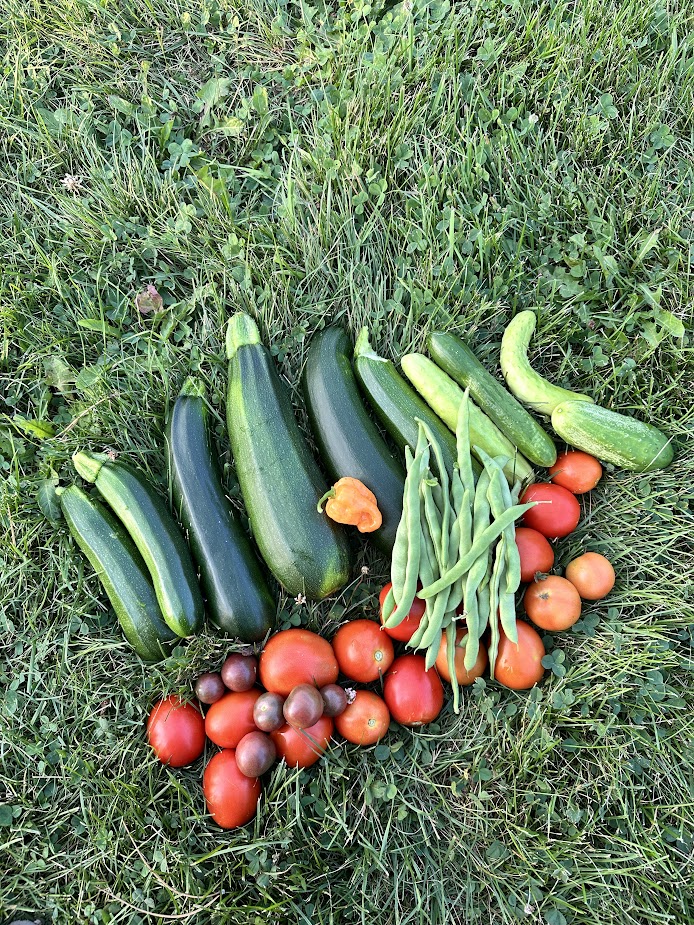 At Home (Our Garden) 5