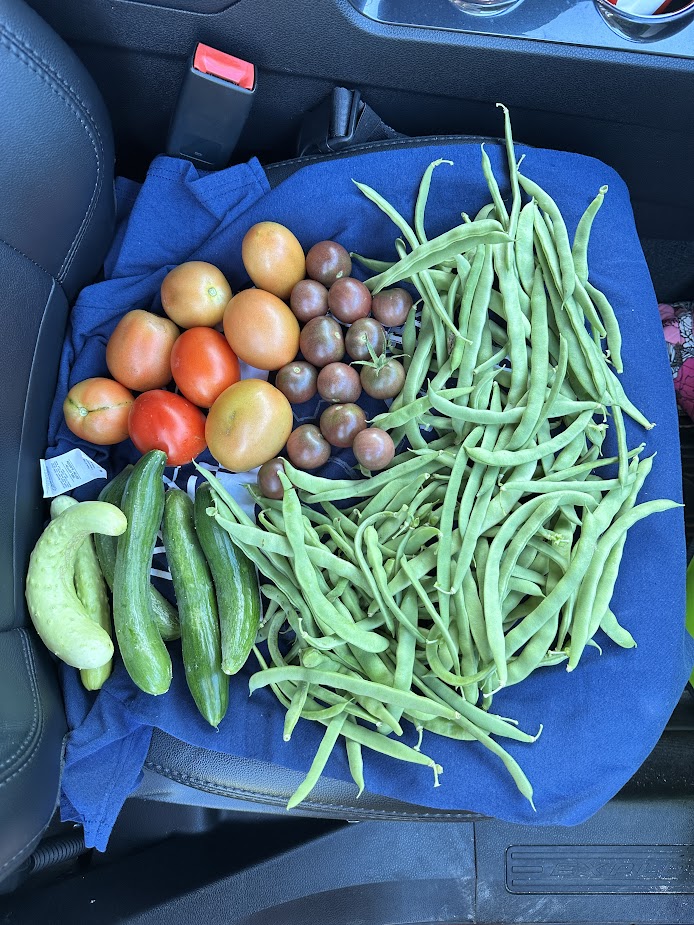 At Home (Our Garden) 6