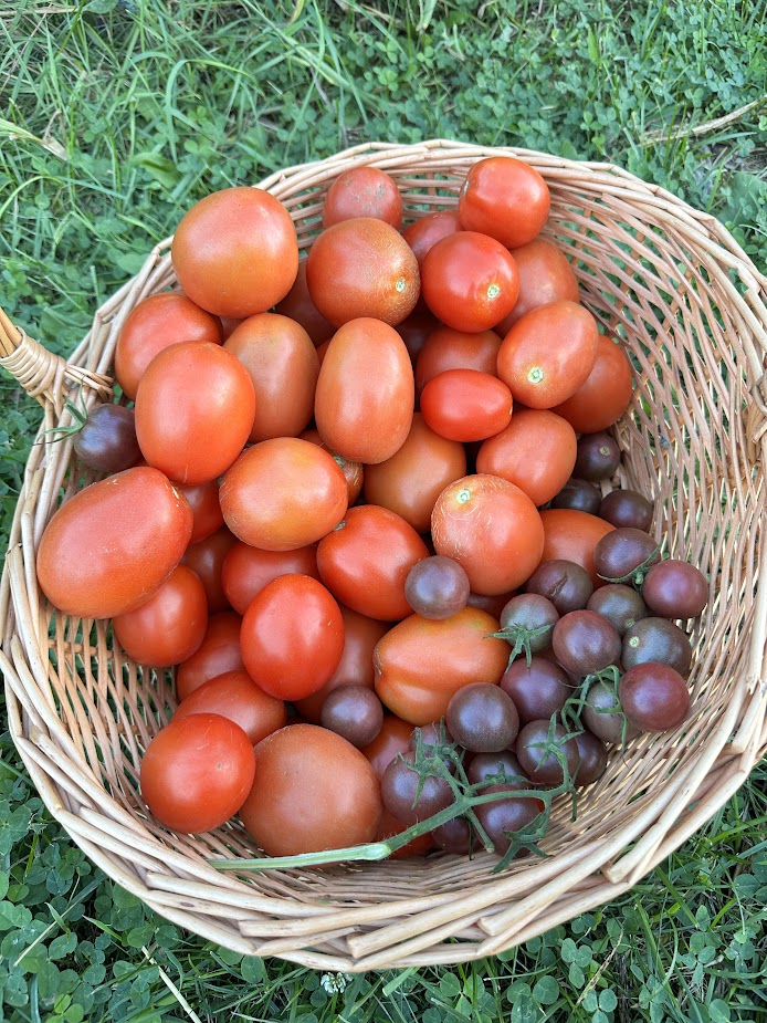 At Home (Our Garden) 12