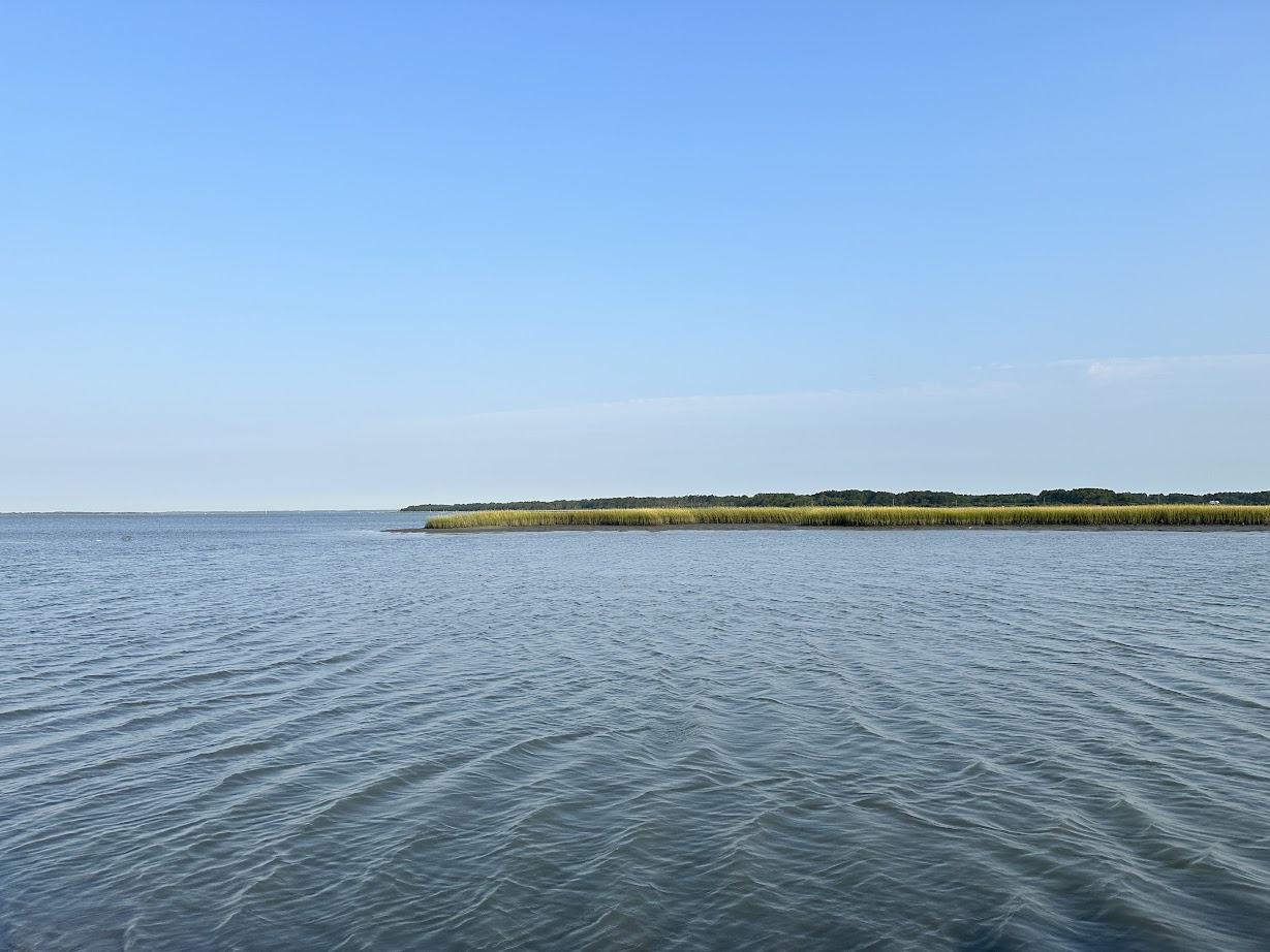 Chincoteague and Assateague 2