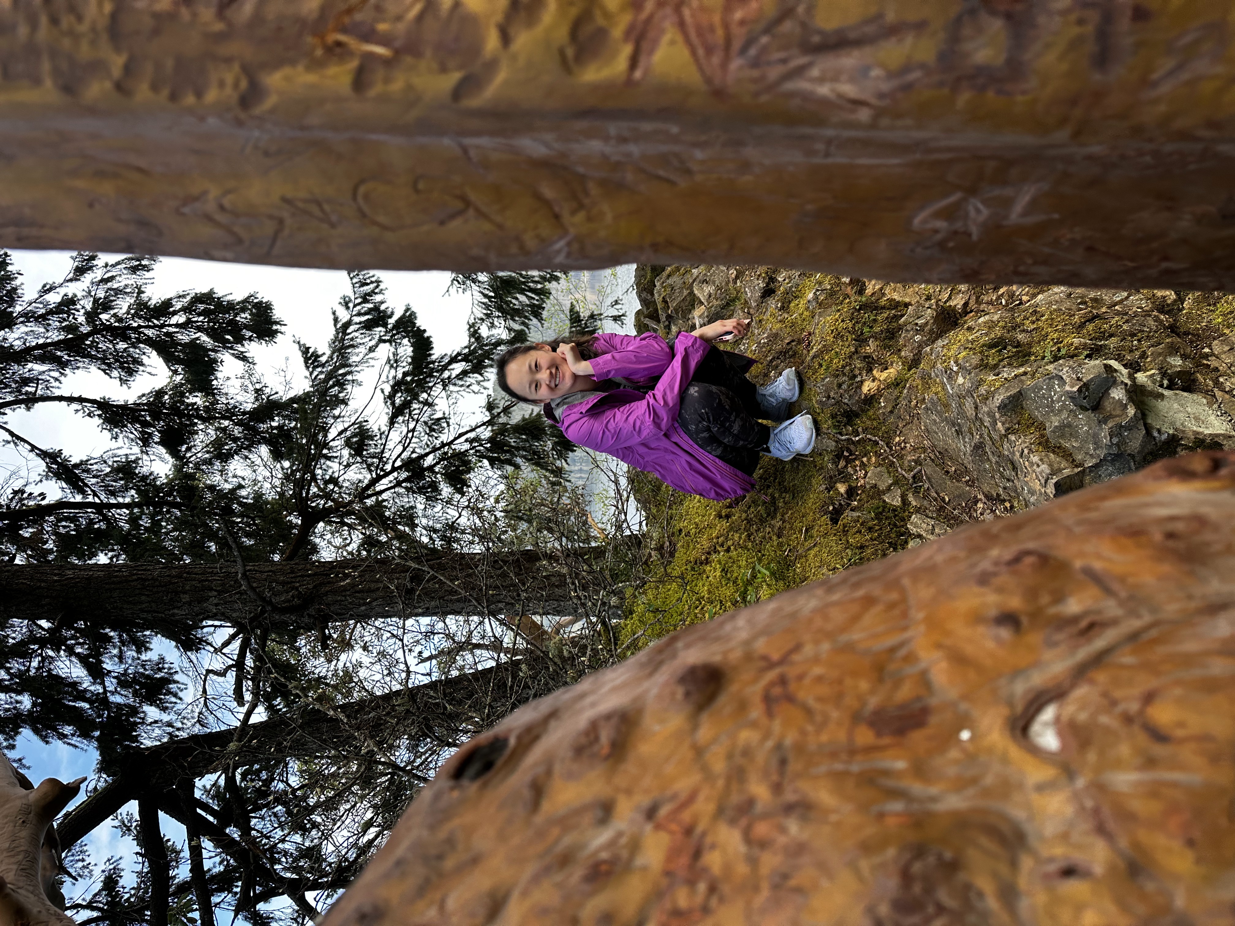 Seattle & Nature in Washington 4