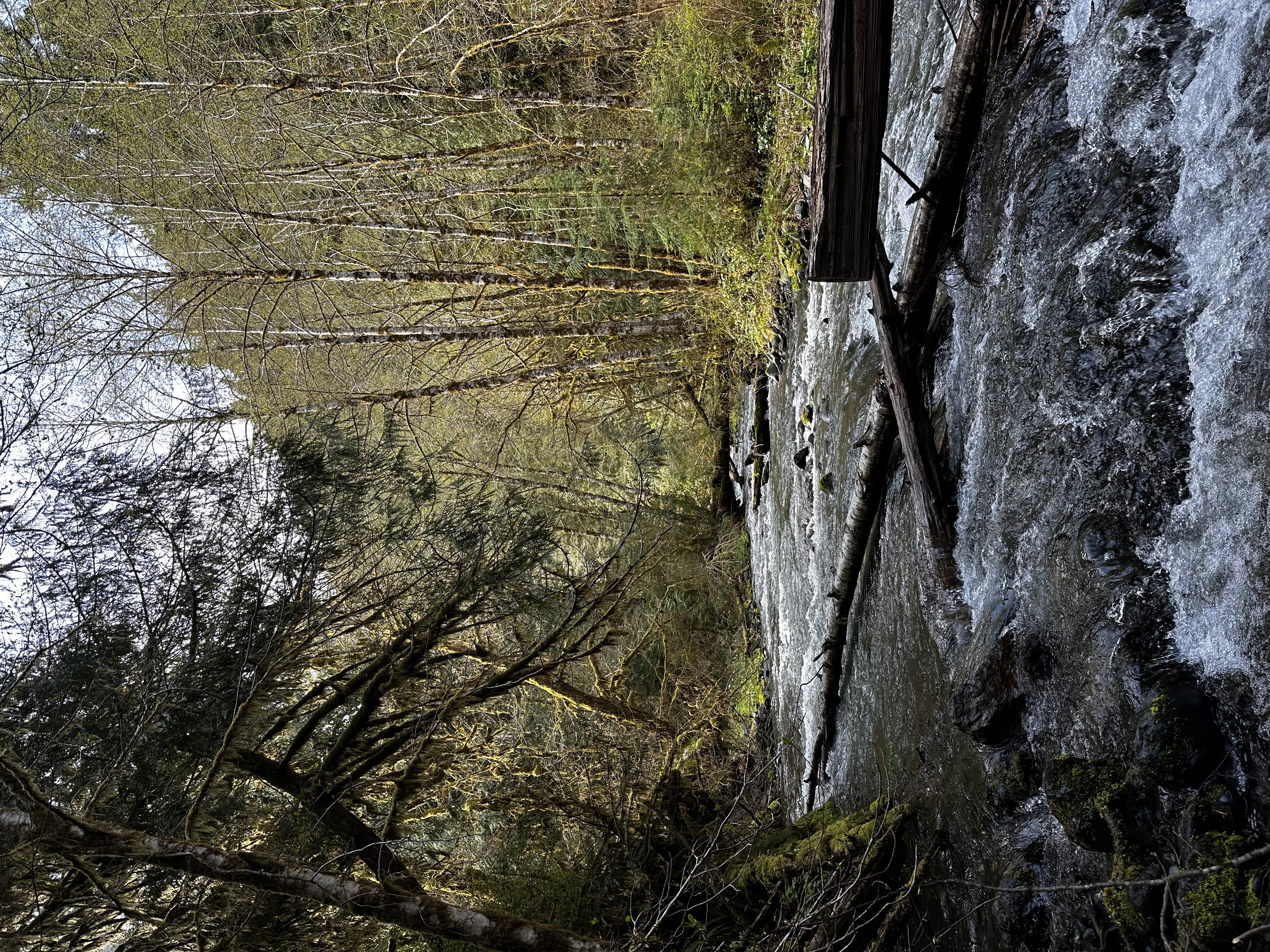 Seattle & Nature in Washington 6