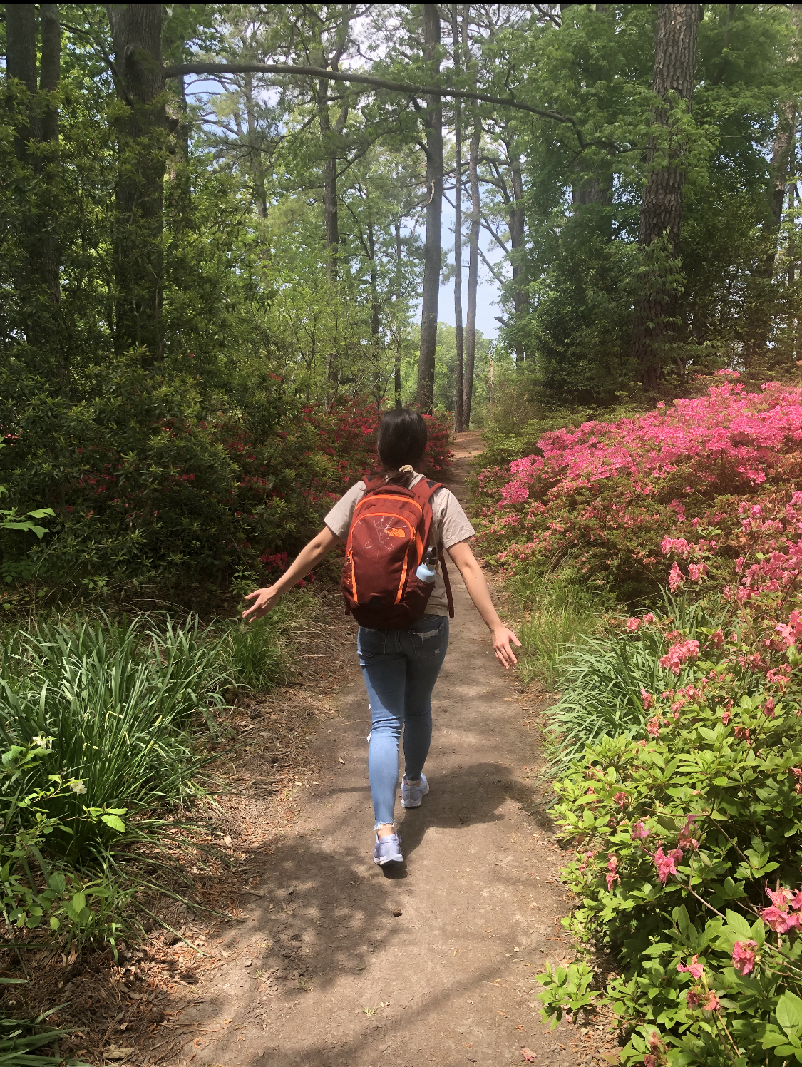 Seattle & Nature in Washington 13