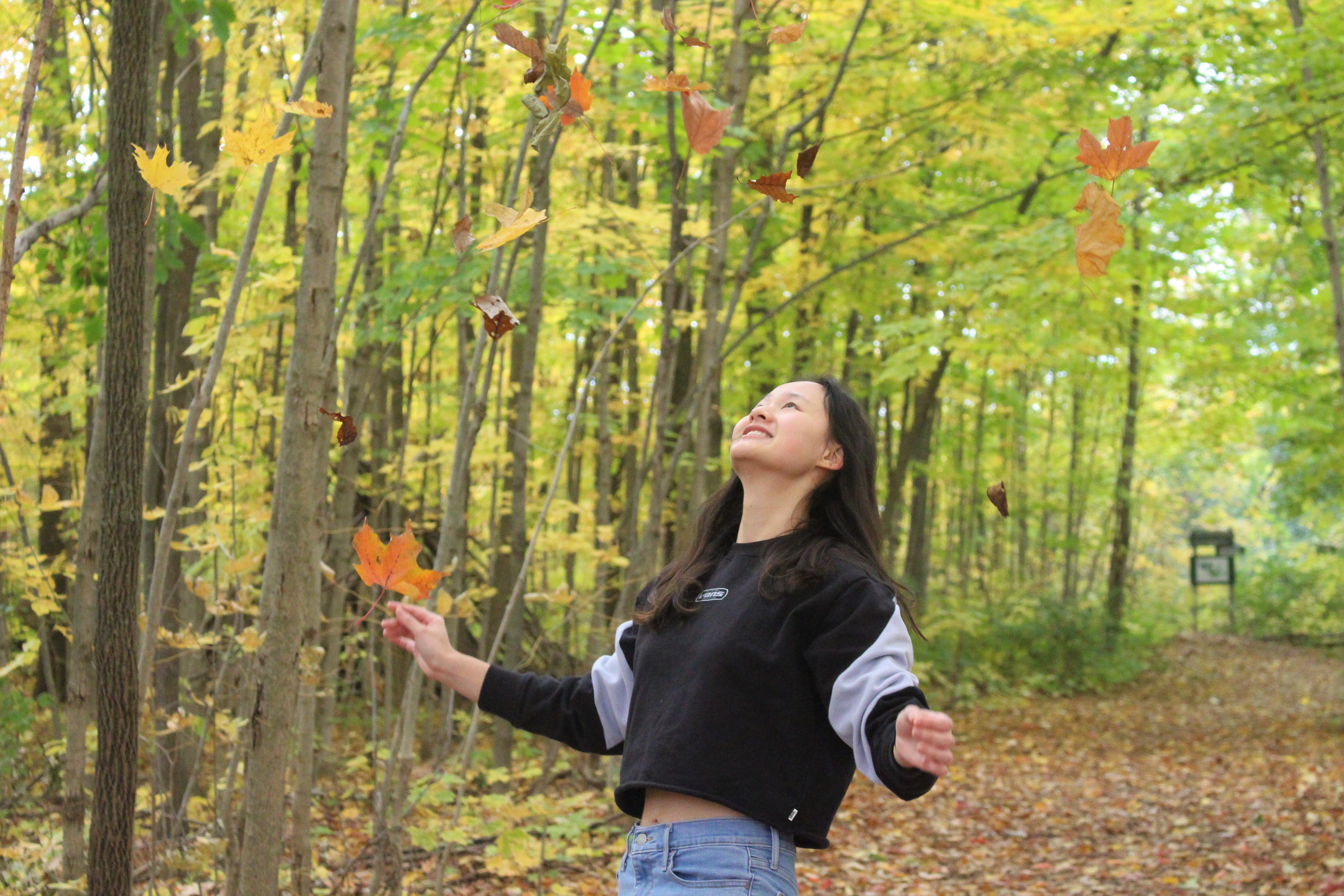 Travel and Nature 12